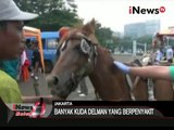 Razia dan pemeriksaan kesehatan Kuda-kuda penarik delman oleh petugas - iNews Malam 06/03