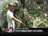 Cuaca buruk, seorang warga tewas tertimpa pohon - iNews Siang 08/03