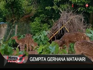 Gerhana Matahari juga berpengaruh pada hewan di Taman Margasatwa Ragunan - iNews Petang 09/03