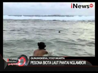 Pesona biota laut pantai Nglambor - iNews Petang 16/03