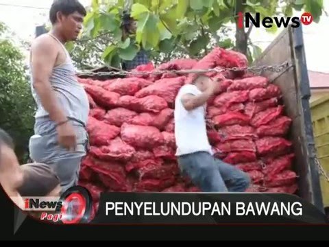 16 ton Bawang Merah selundupan asal malaysia di amankan petugas - iNews Pagi 15/03