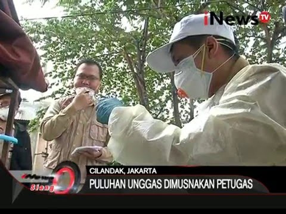 Wabah flu burung hantui warga Banyuwangi, ribuan unggas mati mendadak - iNews Siang 23/03