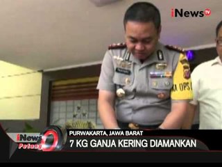Satuan polisi Purwakarta amankan 2 bandar ganja - iNews Petang 29/03