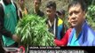 Ladang ganja seluas 4 Hektar ditemukan petugas - iNews Siang 30/03