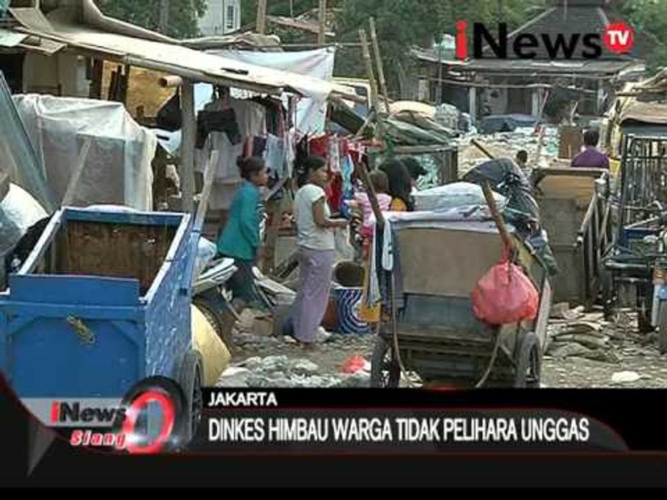 Waspada Flu Burung, Dinas Kesehatan DKI menghimbau warga tidak pelihara unggas - iNews Siang 29/03