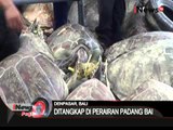 Sebuah kapal penyelundup berisi penyu hijau ditangkap polisi perairan di Bali - iNews Pagi 15/04