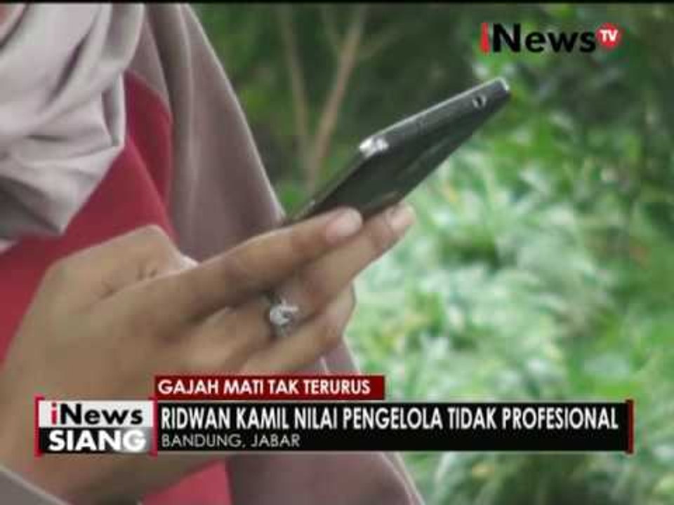 Gajah mati tak terurus, Ridwan Kamil mengajak warga Bandung boikot Bonbin - iNews Siang 13/05