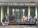 Gajah Diotopsi Untuk Selidiki Penyebab Kematiannya - iNews Siang 12/05