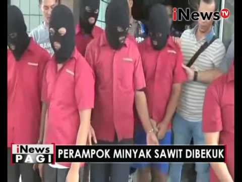 Sindikat perampok sadis minyak kelapa sawit - iNews Pagi 19/05