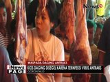 Terinfeksi Antraks, petugas segel kios daging dipasar Gorontalo - iNews Pagi 20/06