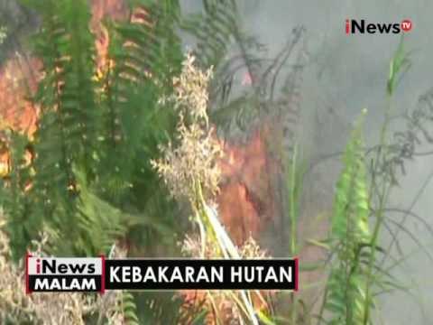 Pemprov Kalteng tetapkan kebakaran hutan di Waringin Barat tanggap darurat - iNews Malam 17/08