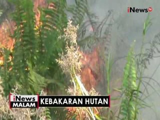 Pemprov Kalteng tetapkan kebakaran hutan di Waringin Barat tanggap darurat - iNews Malam 17/08