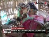 Miris, Seorang Nenek tinggal di kandang Sapi - iNews Siang 09/06