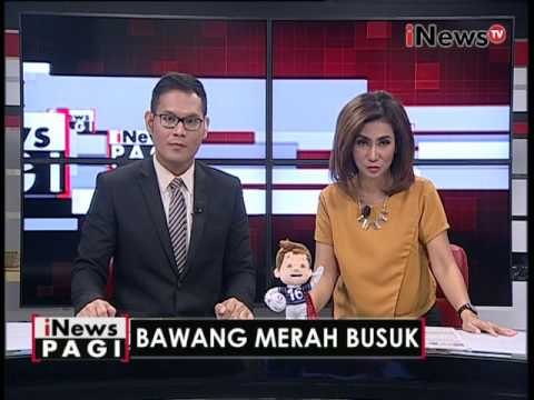 Bawang merah busuk - iNews Pagi 17/06