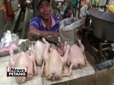 Polresta Magelang razia daging, 6,5kg daging gelonggongan diamankan - iNews Petang 29/06