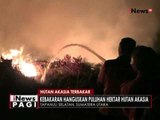 Puluhan hektare hutan akasia di Tapanuli, Sumut terbakar - iNews Pagi 13/07