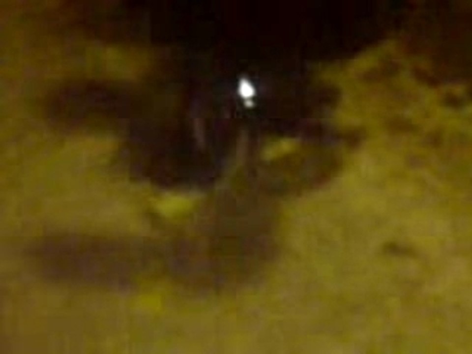 pas de dancehall 971