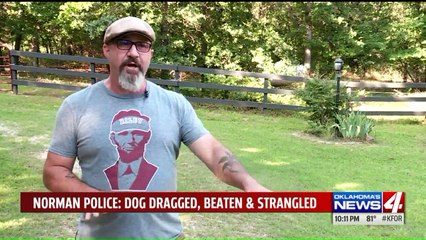 Good Samaritan Stops Man from Beating Dog in the Street