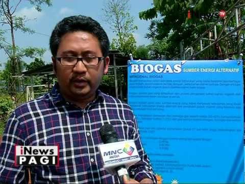 Biogas yang terbuat dari kotoran sapi dan kambing - iNews Pagi 04/08