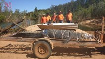 After an Almost Decade-long Search, Park Rangers In Australia Capture a Massive Crocodile