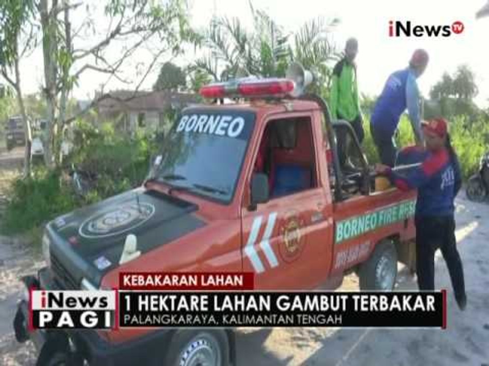 Lahan gambut seluas 1 hektare di Palangkaraya ludes terbakar - iNews Pagi 12/08