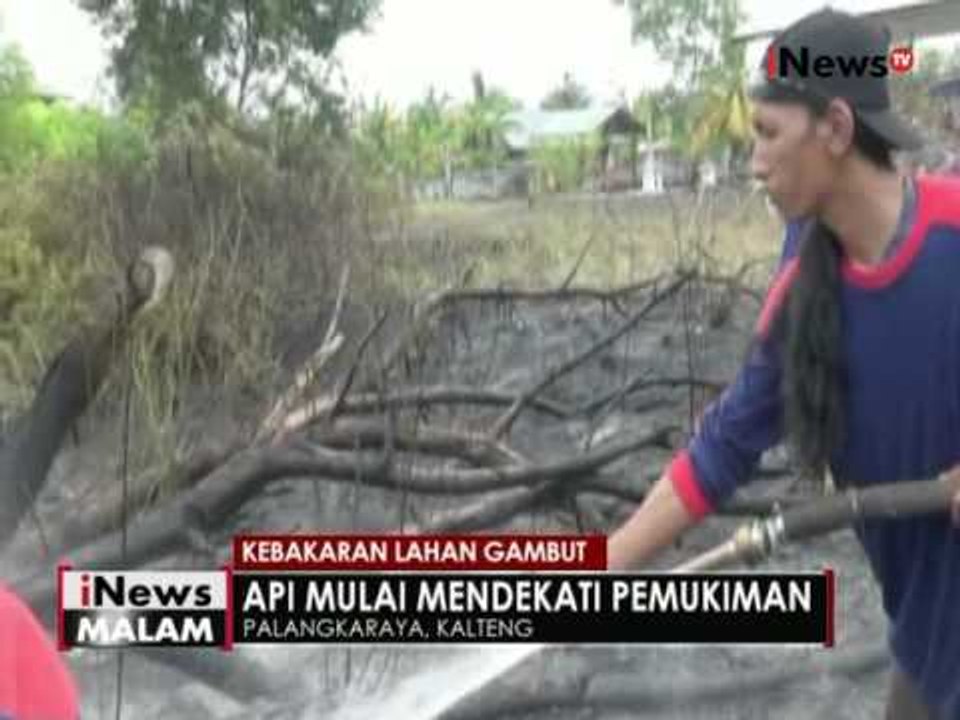 Kebakaran lahan gambut di Palangkaraya mulai mendekati permukiman warga - iNews Malam 14/08