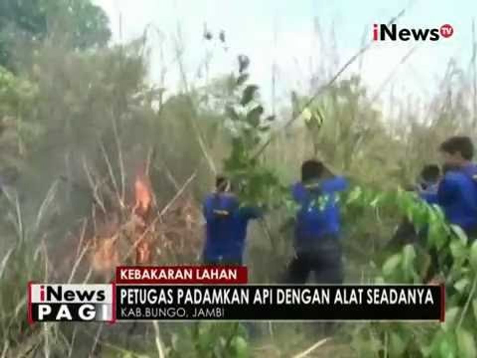 Sekitar 4 hektare lahan kebun di Bungo, Jambi ludes terbakar - iNews Pagi 01/09