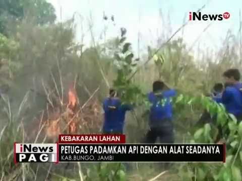 Sekitar 4 hektare lahan kebun di Bungo, Jambi ludes terbakar - iNews Pagi 01/09