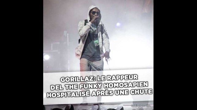 Gorillaz: Le rappeur Del the Funky Homosapien hospitalisé après une chute pendant un concert