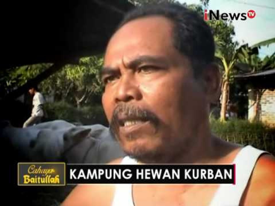Unik!!! ada kampung hewan qurban di desa Karanganyar, Purbalingga - iNews Pagi 08/09