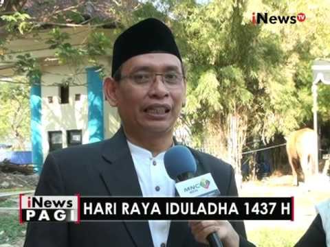 Live Report : Persiapan pemotongan hewan qurban di Surabaya - iNews Pagi 12/09