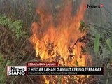 Lahan 2 hektar di Palangkaraya terbakar, petugas kesulitan untuk memadamkan - iNews Siang 13/09