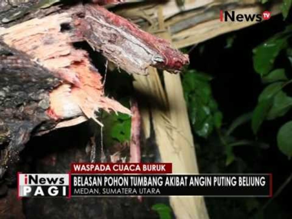 Hujan deras dan angin kencang di Medan, robohkan belasan pohon - iNews Pagi 14/09