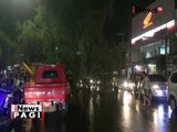 Hujan deras guyur Bandung, 1 pohon tumbang dan membuat kemacetan panjang - iNews Pagi 16/09