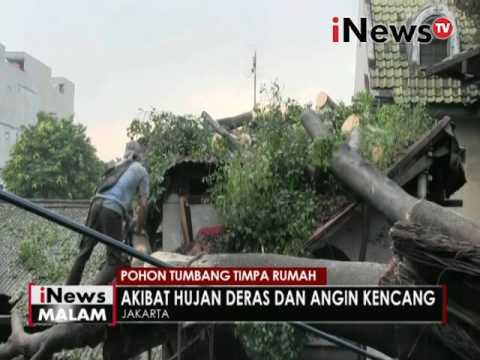 Pohon tumbang timpa rumah - iNews Malam 18/09
