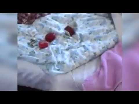 Ora News- Goditet grupi kriminal që vidhte banesa në Shqipëri, Francë dhe Gjermani