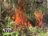 Puluhan hektar hutan pinus ditempat wisata di Aceh terbakar - iNews Pagi 27/09