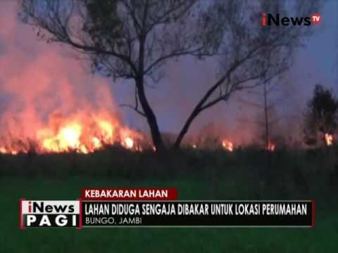 Kebakaran lahan, lahan seluas 5 hektar habis terbakar - iNews Pagi 11/10