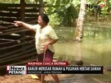 Hujan deras, daerah di Wonogiri terendam banjir hingga setinggi 1 meter - iNews Petang 11/10