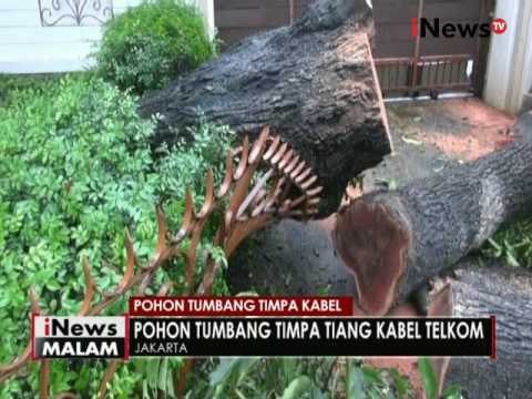 Akibat hujan deras, sebuah pohon tumbang timpa kabel listrik di Menteng - iNews Malam 13/10