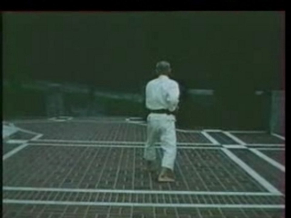 wado ryu kata Pinan nidan