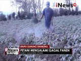 Erupsi gunung sinabung, petani mengalami gagal panen - iNews Siang 02/11
