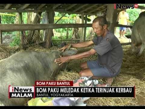 Ledakan bom paku yang terjadi di Bantul hingga kini masih diselidiki polisi - iNews Malam 02/11