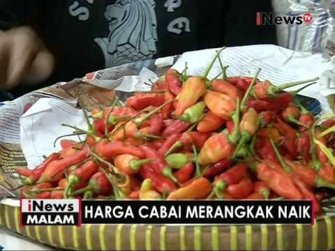 Akibat stok berkurang, hargai cabai di Ibukota mengalami kenaikan harga - iNews Malam 21/11