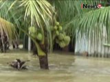 Ratusan rumah di Kalteng masih terendam banjir karena luapan sungai - iNews Siang 24/11