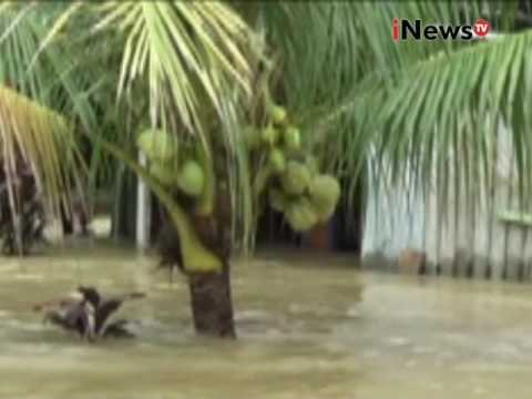 Ratusan rumah di Kalteng masih terendam banjir karena luapan sungai - iNews Siang 24/11