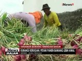 Petani di Brebes merugi akibat ratusan hektar Tanaman Bawang terendam banjir - iNews Malam 05/12