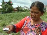 Harga cabai melambung tinggi, Warga di Lampung berinisiatif menanam cabai - iNews Malam 08/01