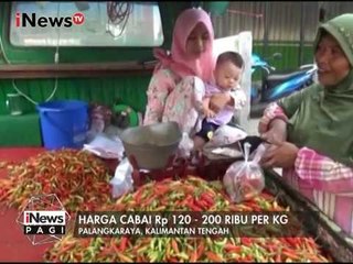Harga cabai di Palangkaraya masih berada dikisaran harga 120 - 200 per Kg - iNews Pagi 10/01