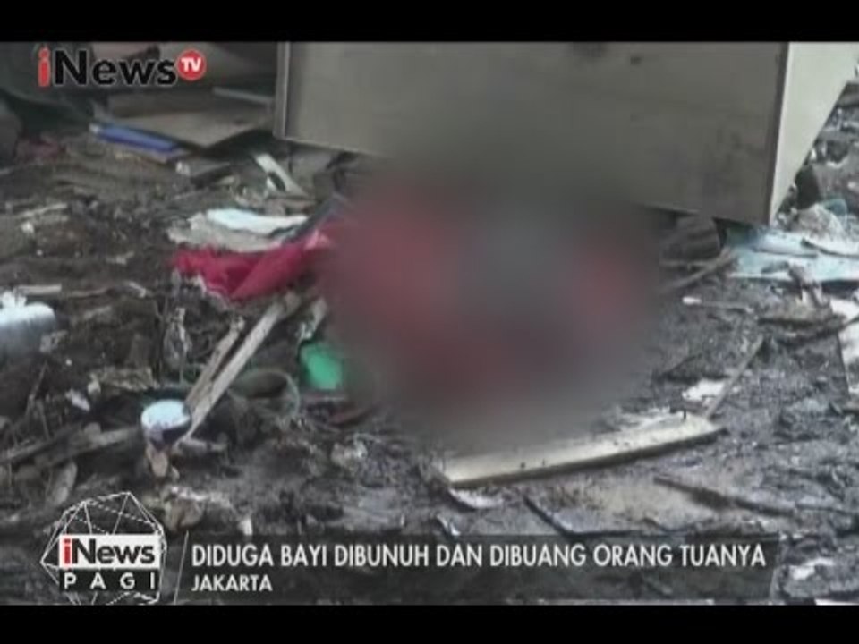 Sesosok bayi membusuk ditemukan warga tergeletak di sebuah gudang kayu - iNews Pagi 10/01